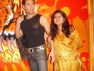 salman khan5