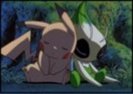 PikachuNCelebi