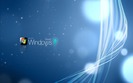 wxp  (42)