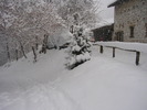 Snow (45)