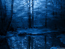Snow (50)