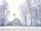 Snow (57)