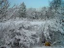 Snow (61)