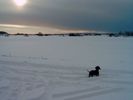 Snow (62)