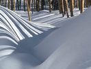 Snow (64)