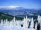 Snow (66)
