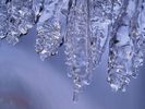 Snow (72)