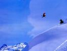 Snow (89)