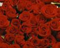 imagesCA19W97F