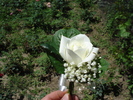 floare piept trandafir alb