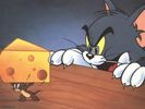 gal_mare_tomandjerrywallpaper1024