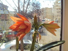 DSC00538