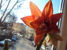 DSC00539
