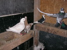 SANY0128