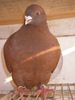 SANY0147