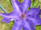 DSC00691