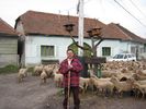 -mi-am gasit un nou loc de munca