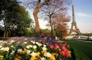 416054eiffel-tower-with-spring-flowers-paris-france-posters