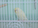 STA50618