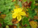 DSC00370