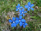 DSC01491