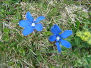 DSC01494
