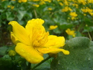 DSC01527