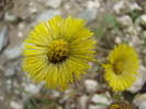 DSC01530
