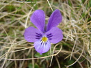 DSC01535