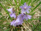 DSC01540
