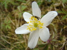 DSC01547
