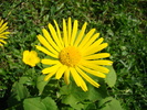 DSC01809