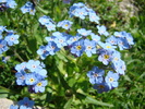DSC01810