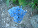 DSC01815
