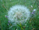 DSC01817