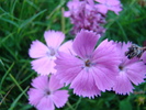 DSC01819