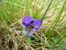DSC01940