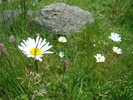 DSC01978