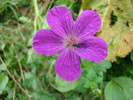 DSC02107