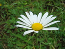DSC02150