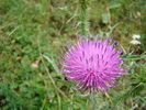 DSC02155