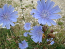 DSC02157