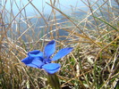 DSC03256