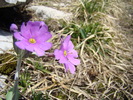 DSC03291