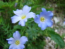 DSC03747
