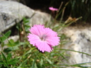 DSC03756