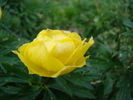 DSC03806