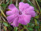 DSC04122