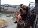 DSC00654