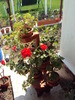 DSC00577
